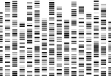 Bioinformatics Scientist photograph